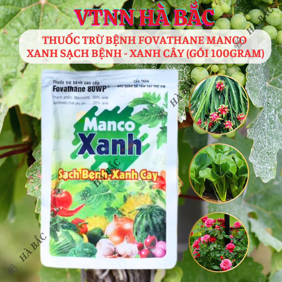 Chế Phẩm Xử Lí Nấm Benhh Fovathane Manco Xanh Sạch Benh - Xanh Cây (Gói 100gram)