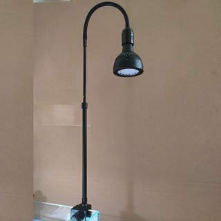 Đèn Rọi Thân Cao - Có thể Tùy Chỉnh Cao Thấp - Phù Hợp Phong Cách Biotop, Bán Cạn, Tiểu Cảnh