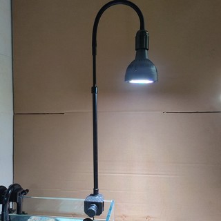 Đèn Rọi Thân Cao - Có thể Tùy Chỉnh Cao Thấp - Phù Hợp Phong Cách Biotop, Bán Cạn, Tiểu Cảnh