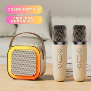 Loa Karaoke K12 + đi kèm 02 micro không dây có âm thanh tuyệt vời và bảo hành 12 tháng