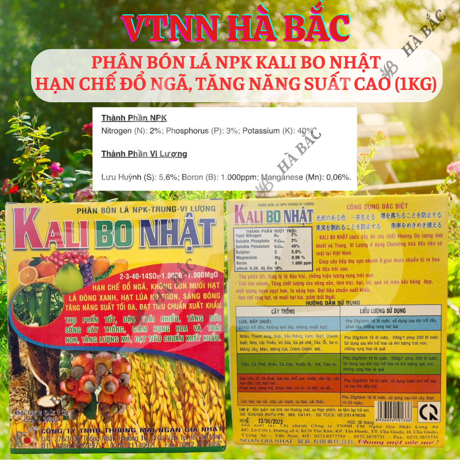 Phân Bón Lá NPK Kali Bo Nhật (hộp 1KG), hạn chế đỗ ngã, sáng bóng trái, tăng năng suất tối đa