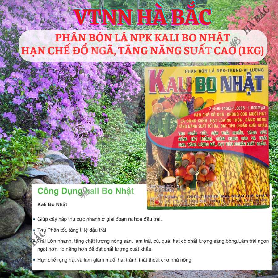 Phân Bón Lá NPK Kali Bo Nhật (hộp 1KG), hạn chế đỗ ngã, sáng bóng trái, tăng năng suất tối đa