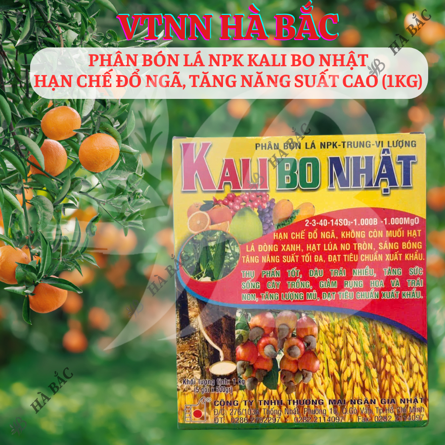 Phân Bón Lá NPK Kali Bo Nhật (hộp 1KG), hạn chế đỗ ngã, sáng bóng trái, tăng năng suất tối đa