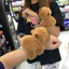 Vòng tay gấu bông Capybara ôm dễ thương