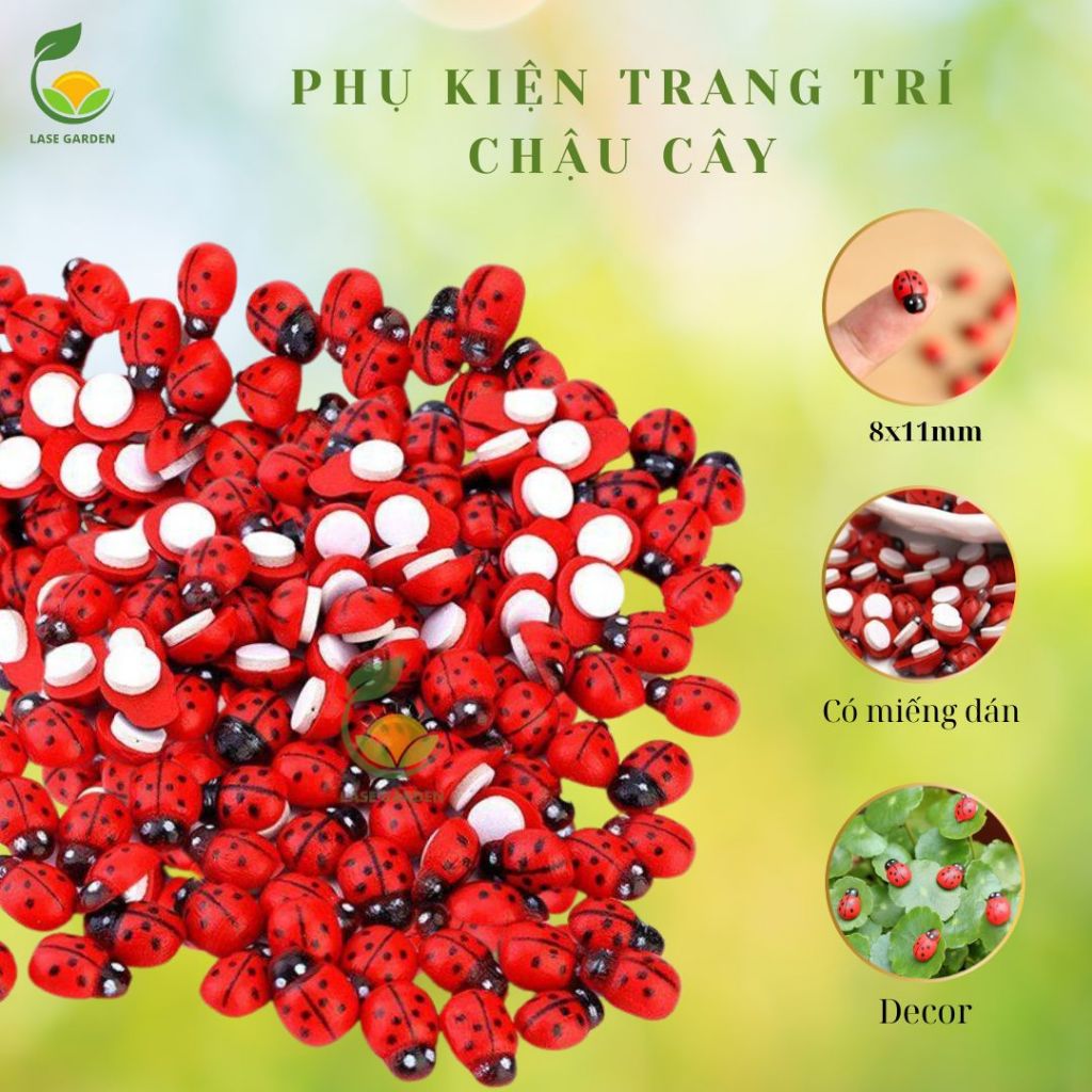 Combo Bọ Rùa Mini LASE GARDEN Có Miếng Dán Bên Dưới, Mô Hình Tiểu Cảnh ...