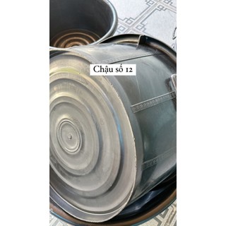 Thau chậu Lào số 12 tắm giặt ngâm mông thoải mái độ bền 10 năm