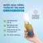 Nước hoa hồng Keo Ong Bakuchiol/ K Lady Care thu nhỏ lỗ chân lông, chống lão hóa, giảm m.ụn vi,êm/ Chai 150ml