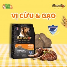 5 gói thức ăn chó ganador chó lớn gói 400gr