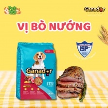 5 gói thức ăn chó ganador chó lớn gói 400gr