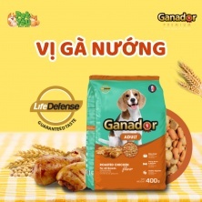 5 gói thức ăn chó ganador chó lớn gói 400gr