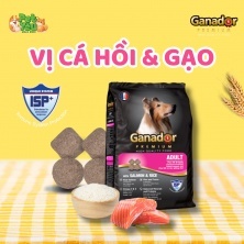 5 gói thức ăn chó ganador chó lớn gói 400gr