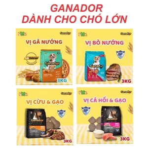 5 gói thức ăn chó ganador chó lớn gói 400gr