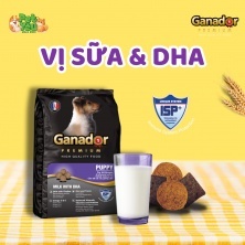 Thức ăn chó con ganador puppy gói 400gr