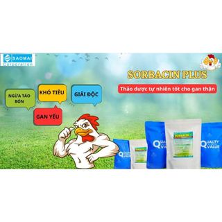 VB Pharma Sorbacin plus Sao Mai gói 1 kg ngừa táo bón mát gan giải độc cho gia súc gia cầm