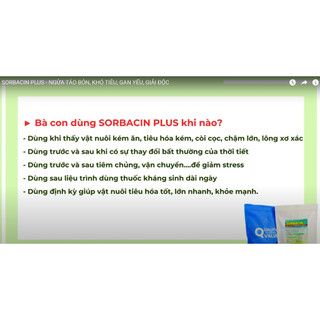 VB Pharma Sorbacin plus Sao Mai gói 1 kg ngừa táo bón mát gan giải độc cho gia súc gia cầm