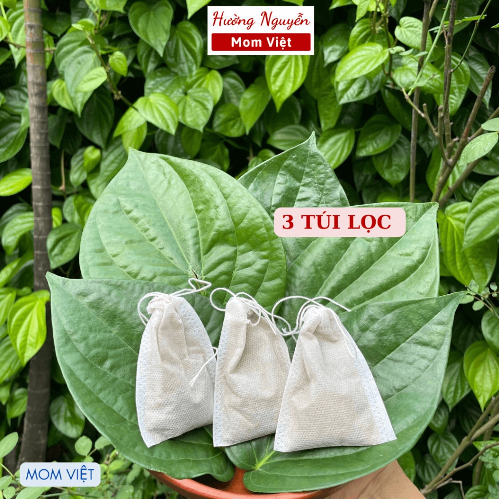 Xông vùng kín, Bột Trầu Không xông vùng kín