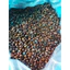 Cà phê Bột nguyên chất 100% 3 loại 40% ARABICA 40% ROBUSTA 20%CULI