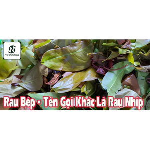 Combo 5kg - RAU NHÍP RỪNG ĐẶC SẢN LÂM ĐỒNG