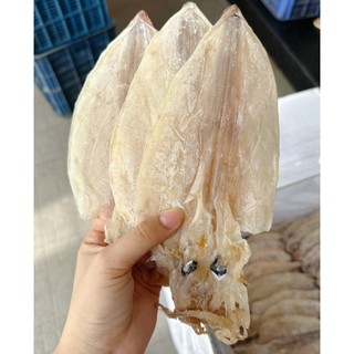 500Gram khô mực số 1 size 9-10 500gram mực loại A thịt dầy và thịt ngọt đậm đà.