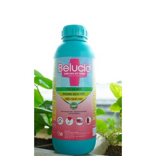 VB Pharma dung dịch Belucid khử trùng chuồng trại dụng cụ chai 1 lít