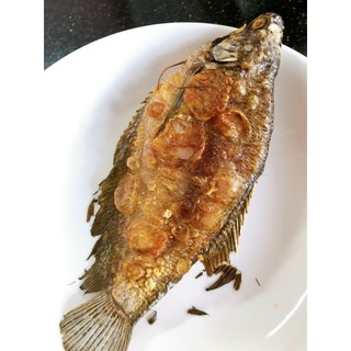 250Gram Khô cá bổi lạt loại đặc biệt – Đặc sản Cà Mau