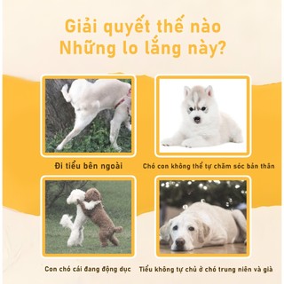 Tushie Treats tã Tã lót cho chó, Siêu thấm, gói 12 miếng, có sẵn cho chó đực và chó cái, size XXS, XS, S, M, L, XL
