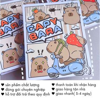 Album Đựng Card Capybara Binder A5 Rỗng Không Kèm Sheet Sổ Còng Cute Timo VPBL26