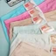 Quần Lót Nữ Cotton Loại 1 Bigsize 50-85kg CẠP CAO Trơn Mềm Mịn Co Dãn 4 Chiều Mặc Siêu êm 9066 - Bơ Chip