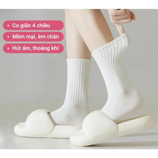 TẤT TRƠN KIỂU DÁNG BASIC PHONG CÁCH HÀN QUỐC