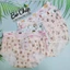 Quần lót nữ su trơn in các loại hình dễ thương size 43-55 kg không đường viền, kháng khuẩn 4 chiều 024