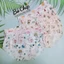 Quần lót nữ su trơn in các loại hình dễ thương size 43-55 kg không đường viền, kháng khuẩn 4 chiều 024
