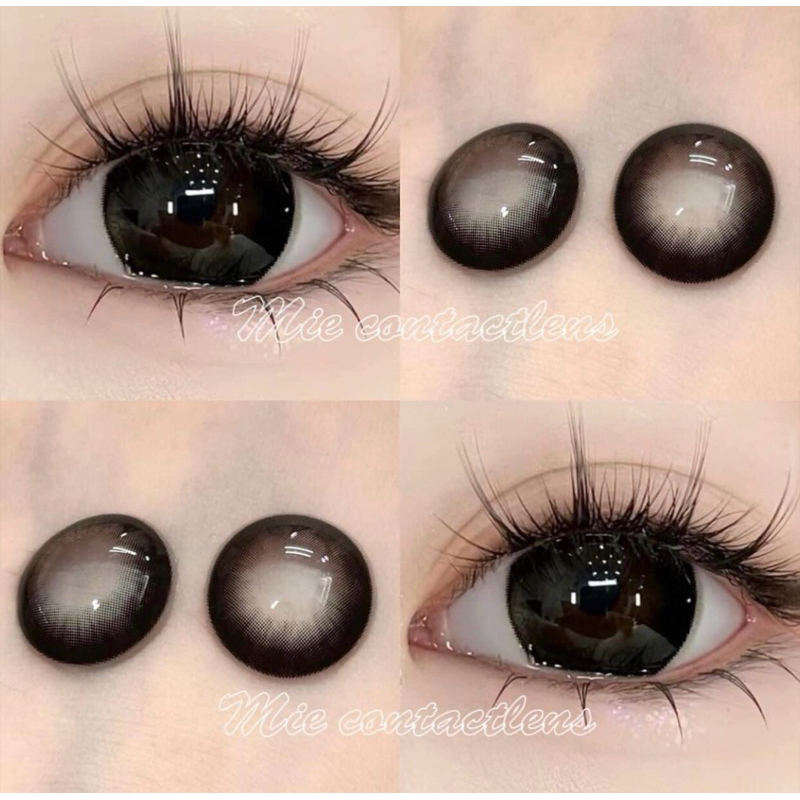[Minah] Lens hàn cao cấp màu đen ( kèm khay) | Shopee Việt Nam