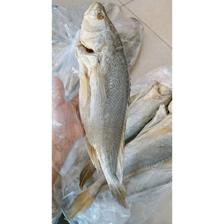 1 Con Mắm Cá Sửu Được Phơi Nắng Vừa Héo Đem Dùi Vào Lu Muối, Chưng Thịt Thơm Ngon