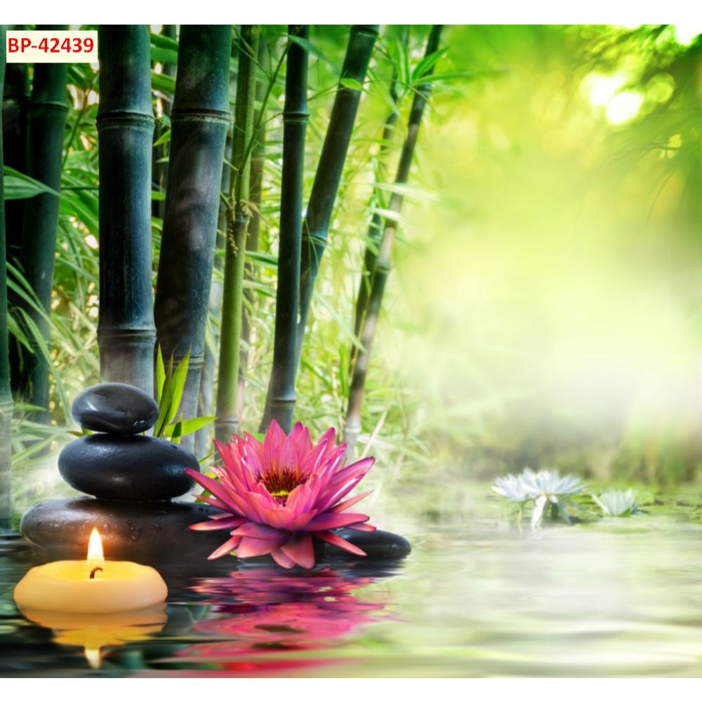Tranh dán tường 3d vải lụa phong cảnh rừng tre xanh mát