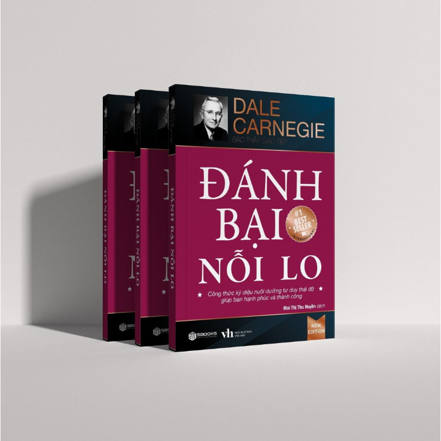 Sách - Đánh Bại Nỗi Lo - Sbooks Store