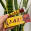 Kem bôi bọ cạp vàng vua các loại nấm ngứa, hắc lào, viêm da, ...