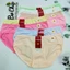 Quần Lót Nữ Cotton Hoa Cúc FREESIZE 40-49kg Dễ Thương Mền Mại Co dãn 4 chiều- Bơ Chip