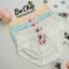 Quần lót nữ 50 - 62kg cotton Thái cao cấp loại 1, co giãn đàn hồi tốt và thấm hút mồ hôi - Bơ Chip