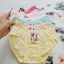 Quần lót nữ 50 - 62kg cotton Thái cao cấp loại 1, co giãn đàn hồi tốt và thấm hút mồ hôi - Bơ Chip