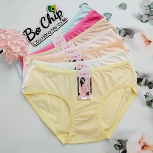Quần lót nữ 50 - 62kg cotton Thái cao cấp loại 1, co giãn đàn hồi tốt và thấm hút mồ hôi - Bơ Chip