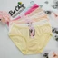 Quần lót nữ 50 - 62kg cotton Thái cao cấp loại 1, co giãn đàn hồi tốt và thấm hút mồ hôi - Bơ Chip