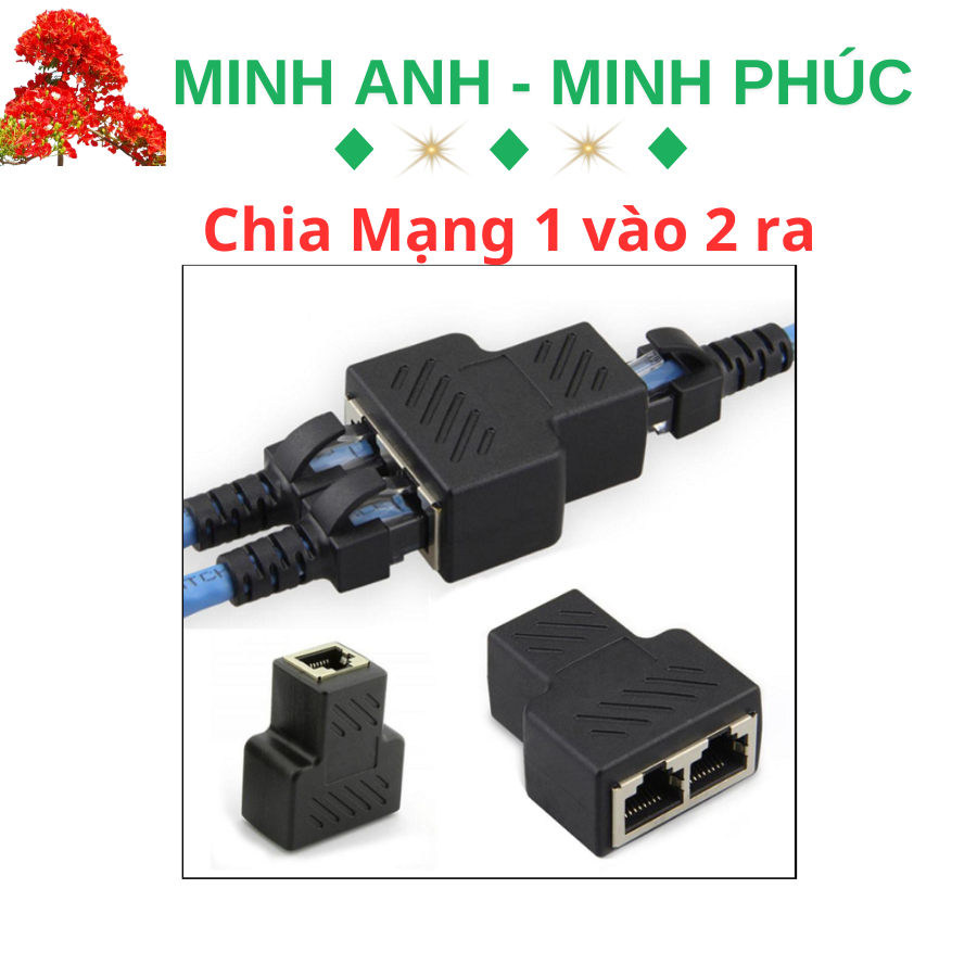 Đầu Nối Dây Mạng RJ45 chia 1 ra 2 Loại Tốt (CHÚ Ý ĐẤU Nối THEO SƠ ĐỒ ...