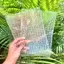 Bánh tráng vuông siêu mỏng 16x22 không cần nhúng nước - Bánh tráng Mạnh Hùng