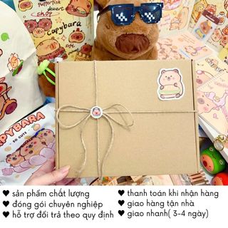 Hộp Quà Bí Ẩn Blind Lucky Box Capybara Test Nhân Phẩm Tặng Bạn Timo SQ1-23