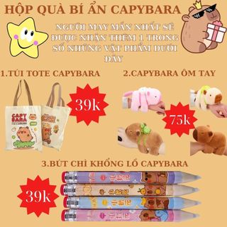 Hộp Quà Bí Ẩn Blind Lucky Box Capybara Test Nhân Phẩm Tặng Bạn Timo SQ1-23
