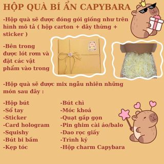 Hộp Quà Bí Ẩn Blind Lucky Box Capybara Test Nhân Phẩm Tặng Bạn Timo SQ1-23