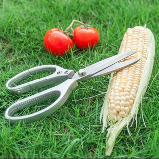 Kéo KAPUSI nội địa chắc chắn bằng thép không rỉ