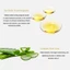 Mặt nạ lột GOLDEN COLLAGEN chống lão hóa - Mask lột GOLDEN xóa nhăn, phục hồi da, dưỡng trắng mờ thâm, nám, tàn nhang