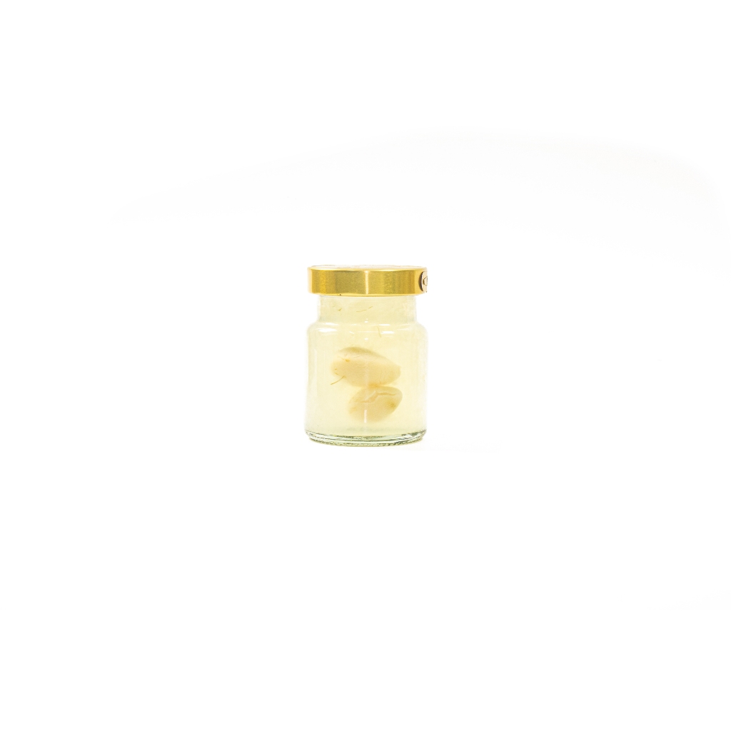COMBO 6 hũ Tổ yến chưng bạch quả Ginkgo biloba Song Phát bổ não cải thiện trí nhớ giúp cơ thể khỏe mạnh