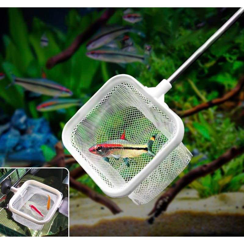 Vợt Vuông Lưới Mịn Cán Inox Rút (Đen, Trắng)_8cm (Có Thể Tháo Rời Làm ...